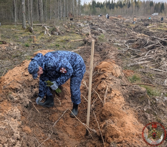 Новгородские росгвардейцы приняли участие в международной акции «Сад памяти»