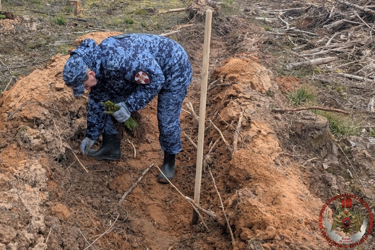 Новгородские росгвардейцы приняли участие в международной акции «Сад памяти»