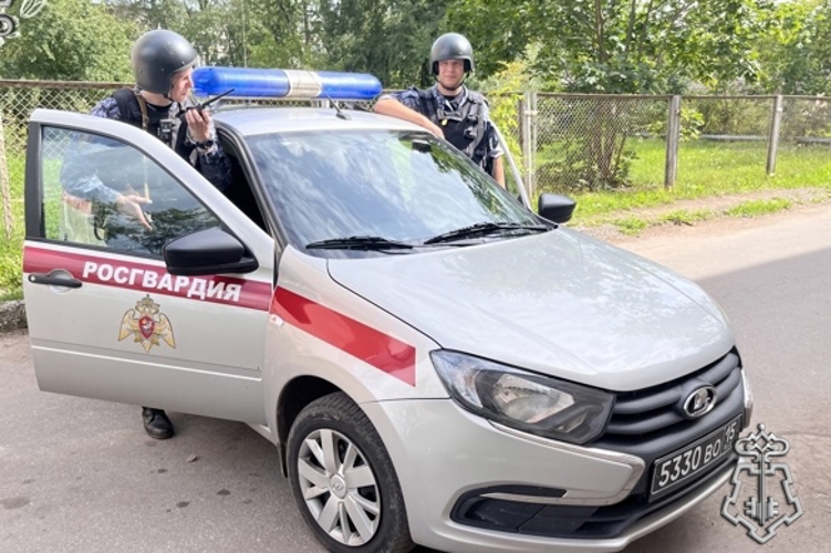 Новгородские росгвардейцы задержали гражданина, похитившего товар из магазина